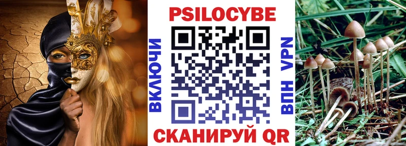 Псилоцибиновые грибы Psilocybe  Вилюйск 
